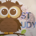 owl-study avatar