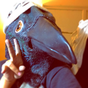 owlerfish0v0-blog avatar