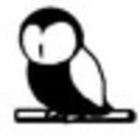 owlpublications avatar