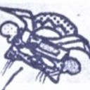 owls-gamblegalaxy avatar