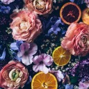 owlsandappletrees avatar