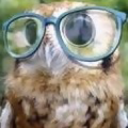 owlsarebirdstoo avatar