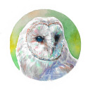 owlseelight avatar