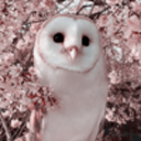 owlsgivemelife avatar