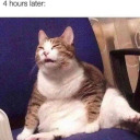 owlsinthecity11 avatar