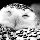 owlweneedisloveee-blog avatar