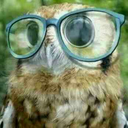 owlwiththeglasses avatar