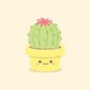 oxcactixo avatar