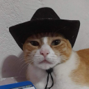 oxymoronicdumbass avatar