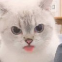 oyatsuman avatar