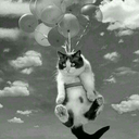 ozenilenkisiler avatar