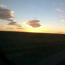 ozgur-ata-love avatar