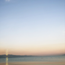 ozgurkuslargibi avatar