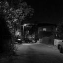 ozlemdieskiler avatar