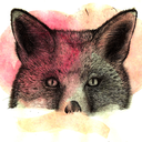 p0ltergeist-blog-blog avatar