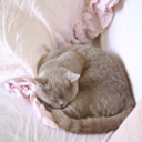 p4int-it-black avatar