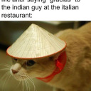 pac-rim-beauties avatar