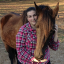 pace-that-piaffe avatar