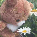 pacifireprincess-blog avatar