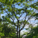 pack-ur-eyebags avatar