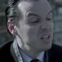 packofdogs-blog avatar