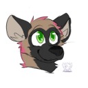 packwolf445 avatar