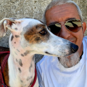 pacountry-maestre avatar