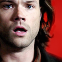 padaleckiwhat avatar