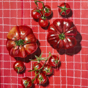 paddington22017 avatar