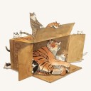 padingtonstuf avatar