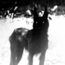 pagan-posting avatar