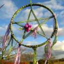 pagan-seeker-witch avatar