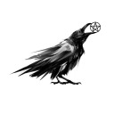 paganravennest avatar