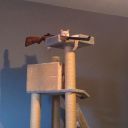 paganwanderer072 avatar