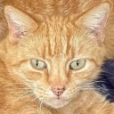 pageofrage612 avatar