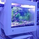 pagesfromceefax avatar