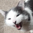 pageslearntothink avatar