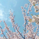 pagesofpisces avatar