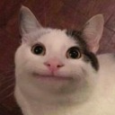 pain-for-evermore avatar