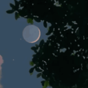 painfullyobssesedwithyou avatar