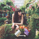 paint-the-flowers-blog avatar
