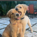 paintbinumber avatar