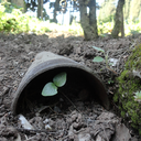 painterly-heart avatar