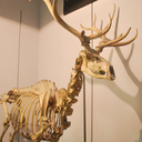 paintingpotato avatar