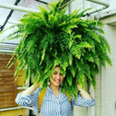 paintings-in-my-soup avatar