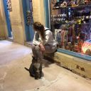 paintmewithlies avatar