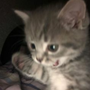 paintmyblueskiesgolden avatar