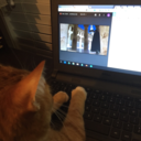 paintyouwings02 avatar