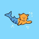 pajama-cat-shark avatar