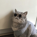 palabras-sobran avatar